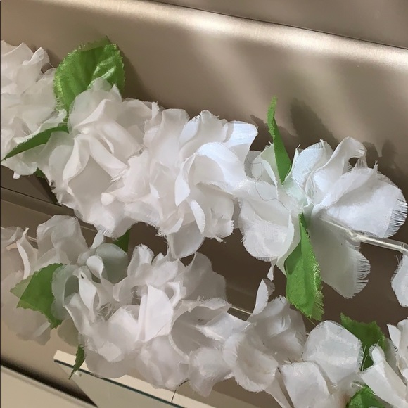 Meet your Posher, Cothysha - Picture 1 of 1